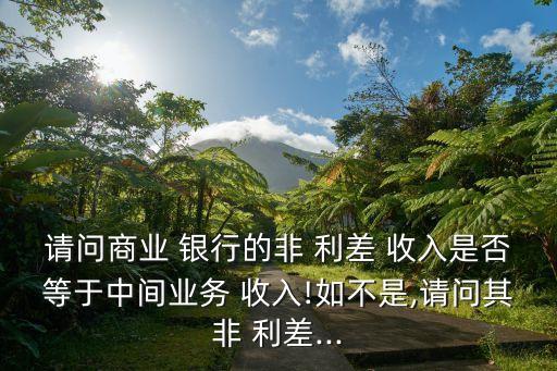 請問商業 銀行的非 利差 收入是否等于中間業務 收入!如不是,請問其非 利差...