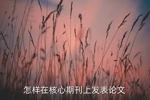 怎樣在核心期刊上發表論文