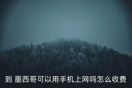 到 墨西哥可以用手機上網嗎怎么收費