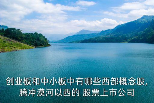創業板和中小板中有哪些西部概念股,騰沖漠河以西的 股票上市公司