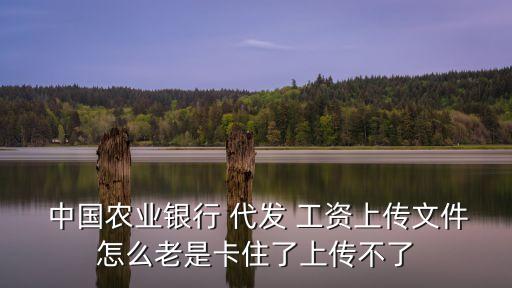  中國農業銀行 代發 工資上傳文件怎么老是卡住了上傳不了