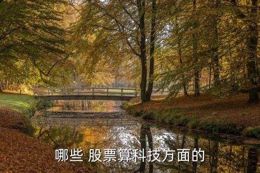 漢威電子是創業板股票嗎,300007漢威電子股票