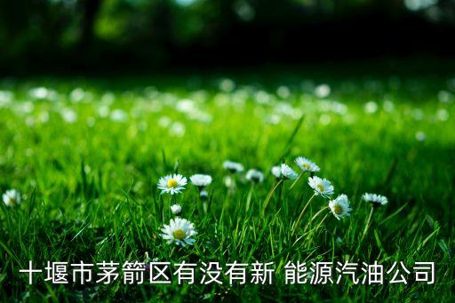 十堰市茅箭區有沒有新 能源汽油公司