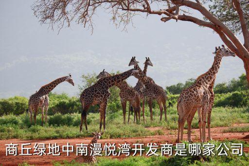 商丘綠地中南漫悅灣開發商是哪家公司