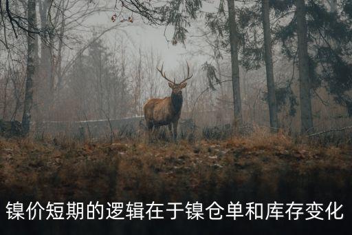 中國企業投資印尼鎳鐵,國內在印尼投資的鎳鐵企業