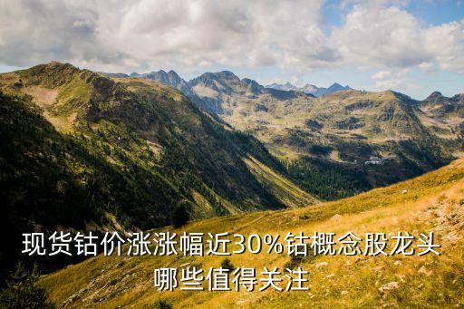 現貨鈷價漲漲幅近30%鈷概念股龍頭哪些值得關注