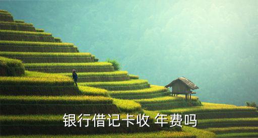 工商銀行儲蓄卡有年費嗎,興業銀行信用卡年費900怎么減免