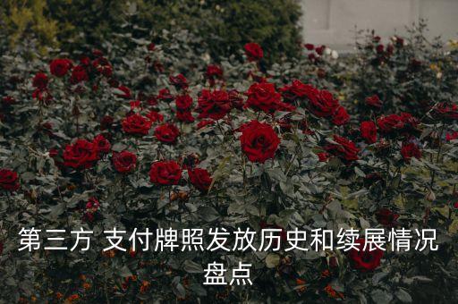 62家支付公司,全國正規支付公司有多少家