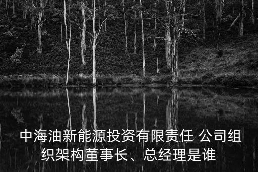  中海油新能源投資有限責任 公司組織架構董事長、總經理是誰