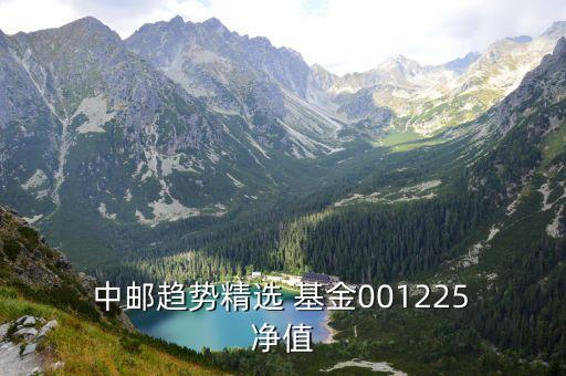 中郵基金凈值查詢系統,590002中郵成長基金今日凈值