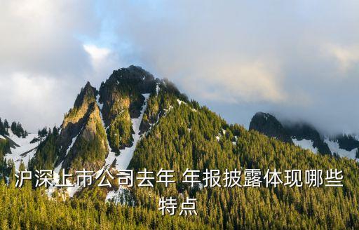 滬深上市公司去年 年報披露體現哪些特點