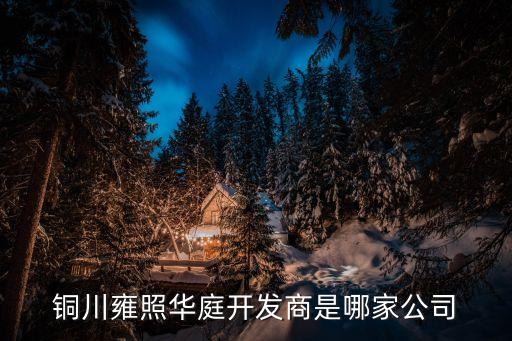 銅川雍照華庭開發商是哪家公司