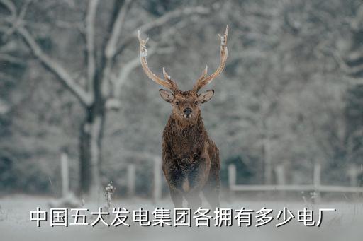 中國五大發電集團各擁有多少電廠