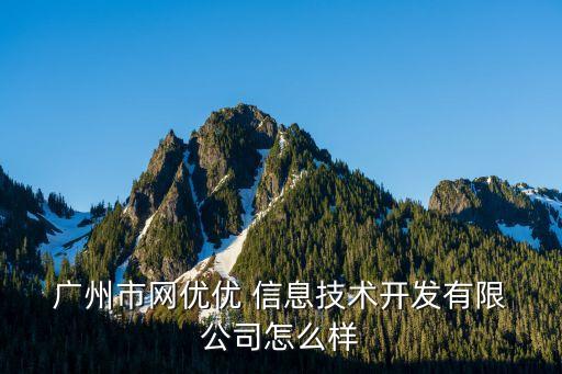  廣州市網優優 信息技術開發有限 公司怎么樣
