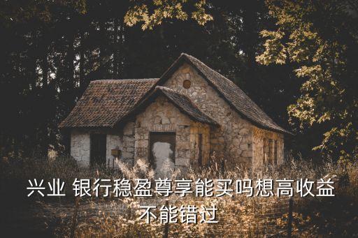  興業 銀行穩盈尊享能買嗎想高收益不能錯過