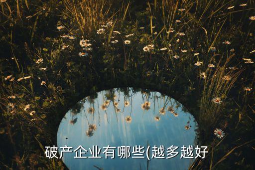 破產企業有哪些(越多越好