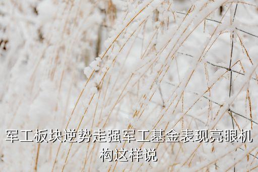 軍工板塊逆勢走強軍工基金表現亮眼機構這樣說