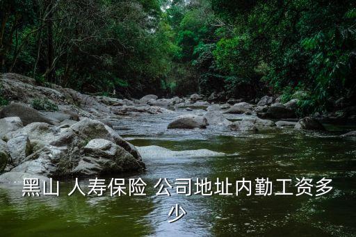 黑山 人壽保險 公司地址內勤工資多少