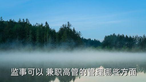  監事可以 兼職高管的管理哪些方面