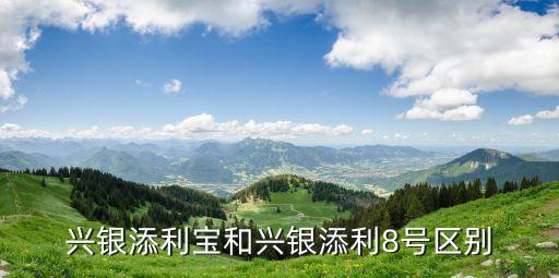 興銀添利寶和興銀添利8號區別