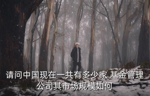 請問中國現在一共有多少家 基金管理公司其市場規模如何