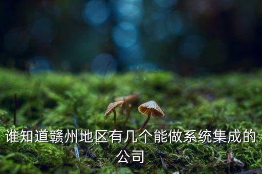 誰知道贛州地區有幾個能做系統集成的公司