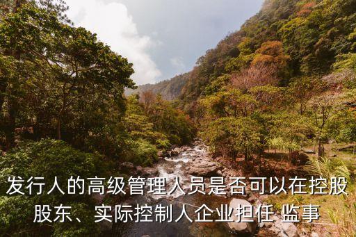 上市公司兼職監事
