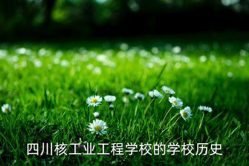 四川核工業工程學校的學校歷史