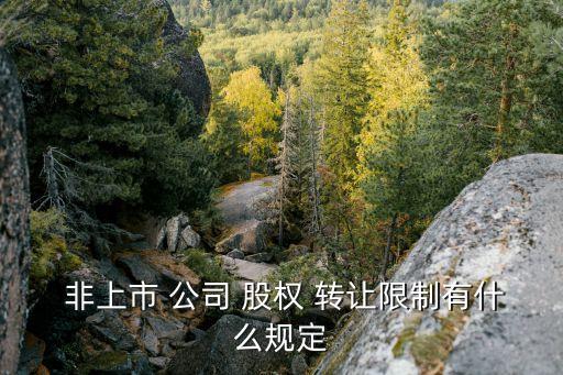  非上市 公司 股權 轉讓限制有什么規定