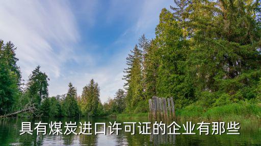 具有煤炭進口許可證的企業有那些