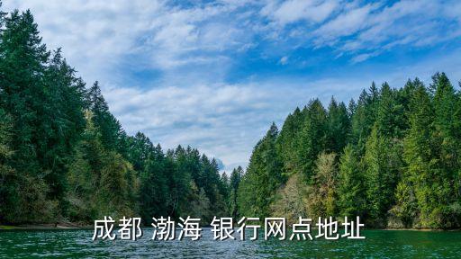 成都 渤海 銀行網點地址