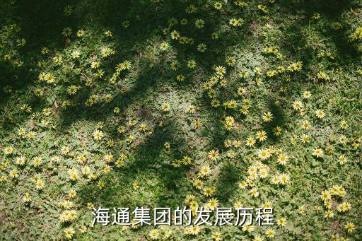  海通集團的發展歷程
