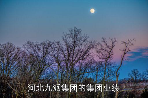 河北九派集團的集團業績