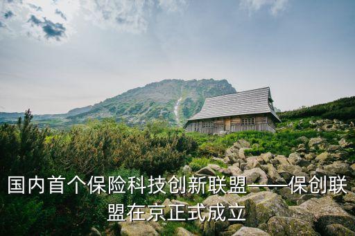 國內首個保險科技創新聯盟——保創聯盟在京正式成立