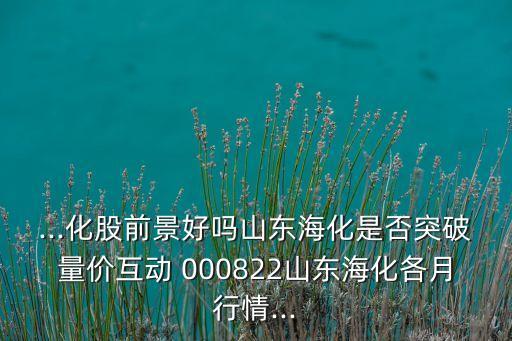 ...化股前景好嗎山東海化是否突破量價互動 000822山東海化各月行情...