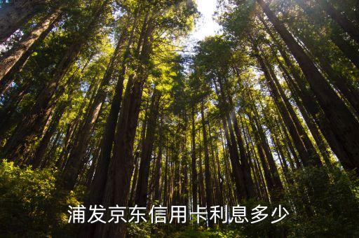 浦發京東信用卡利息多少