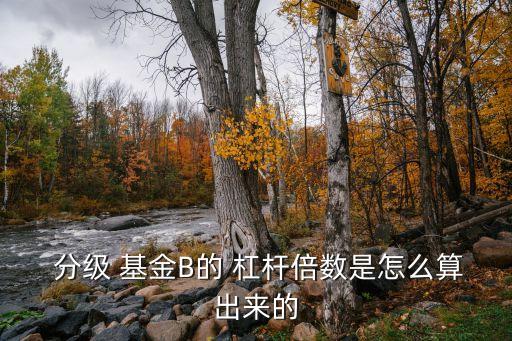 行業分級基金杠桿,分級基金的杠桿不能高于6:4
