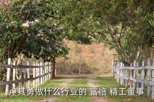 盧其勇做什么行業的 富臨 精工董事