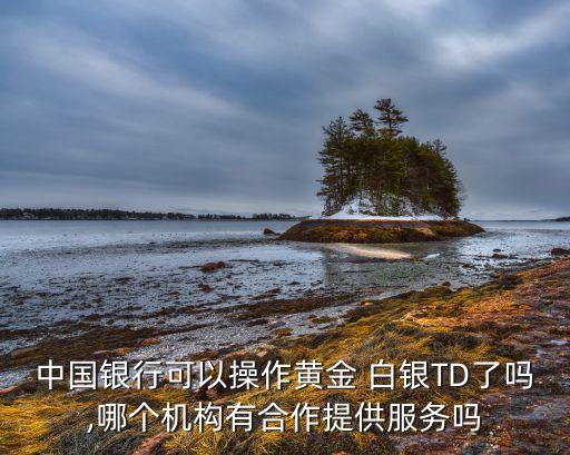 中國銀行可以操作黃金 白銀TD了嗎,哪個機構(gòu)有合作提供服務嗎