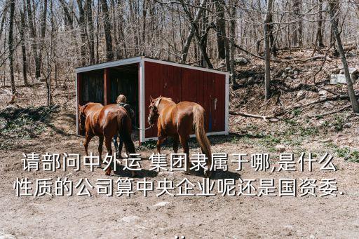 請部問中外運 集團隸屬于哪,是什么性質的公司算中央企業呢還是國資委...