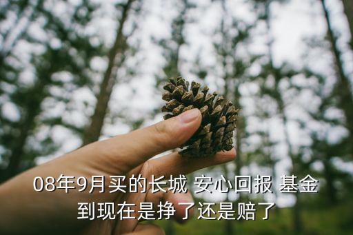 08年9月買的長城 安心回報 基金到現在是掙了還是賠了