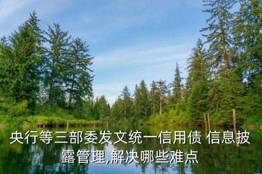 央行等三部委發文統一信用債 信息披露管理,解決哪些難點