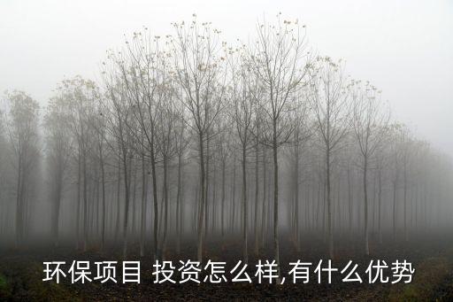  環保項目 投資怎么樣,有什么優勢