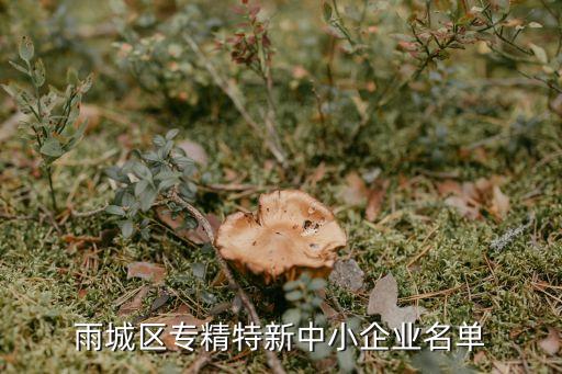 雨城區專精特新中小企業名單