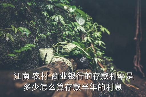 江南農村商業銀行折扣,江蘇江南農村商業銀行股份有限公司