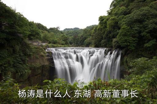 杭州東湖高新投資有限公司,重慶東湖高新發展有限公司