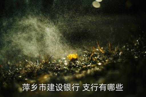 萍鄉市建設銀行 支行有哪些