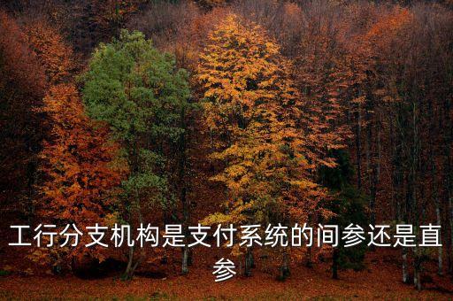 工行分支機構是支付系統的間參還是直參