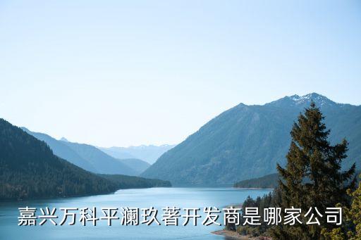 武漢萬坤置業有限公司,萬坤置業有限公司開發的樓盤