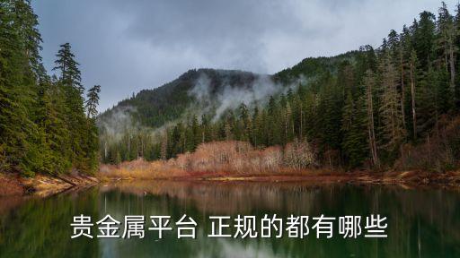 貴金屬平臺 正規的都有哪些